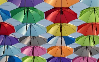 Działalność bez rejestracji wchodzi w życie