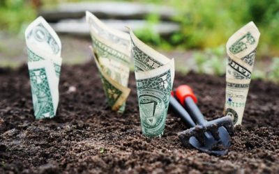 Kiedy nie trzeba płacić zaliczek na podatek dochodowy