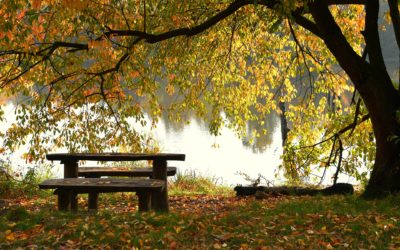 Zniesienie limitu 30-krotności składek ZUS